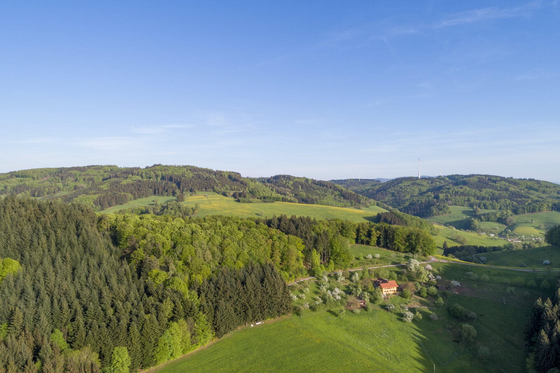 Schwarzwald