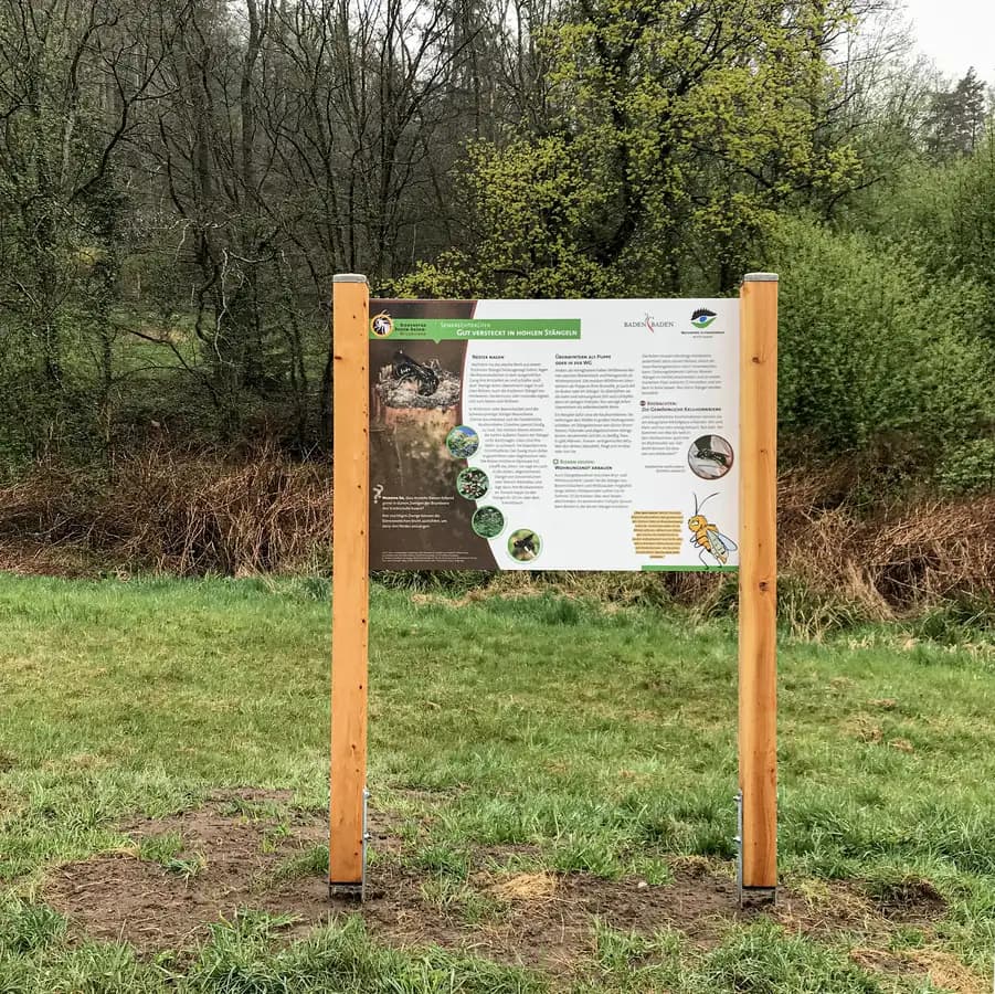 Scheerberg Douglasie – Bienenlehrpfad Baden-Baden