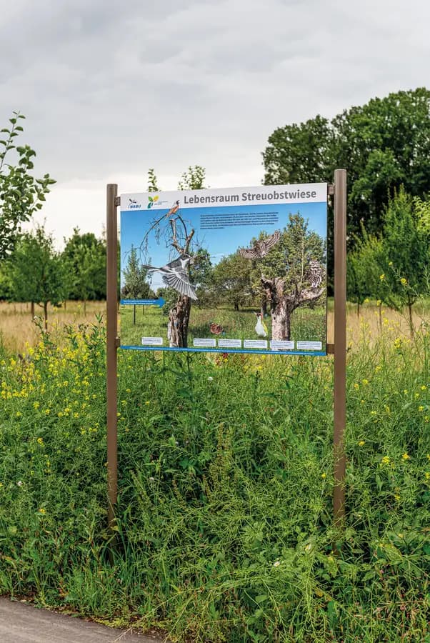 Kreuzmoos Stahl pulverbeschichtet – Landesgartenschau Lahr, Streuobstwiese