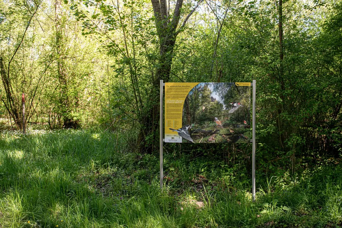 Kreuzmoos Edelstahl – Taubergießen Auwald