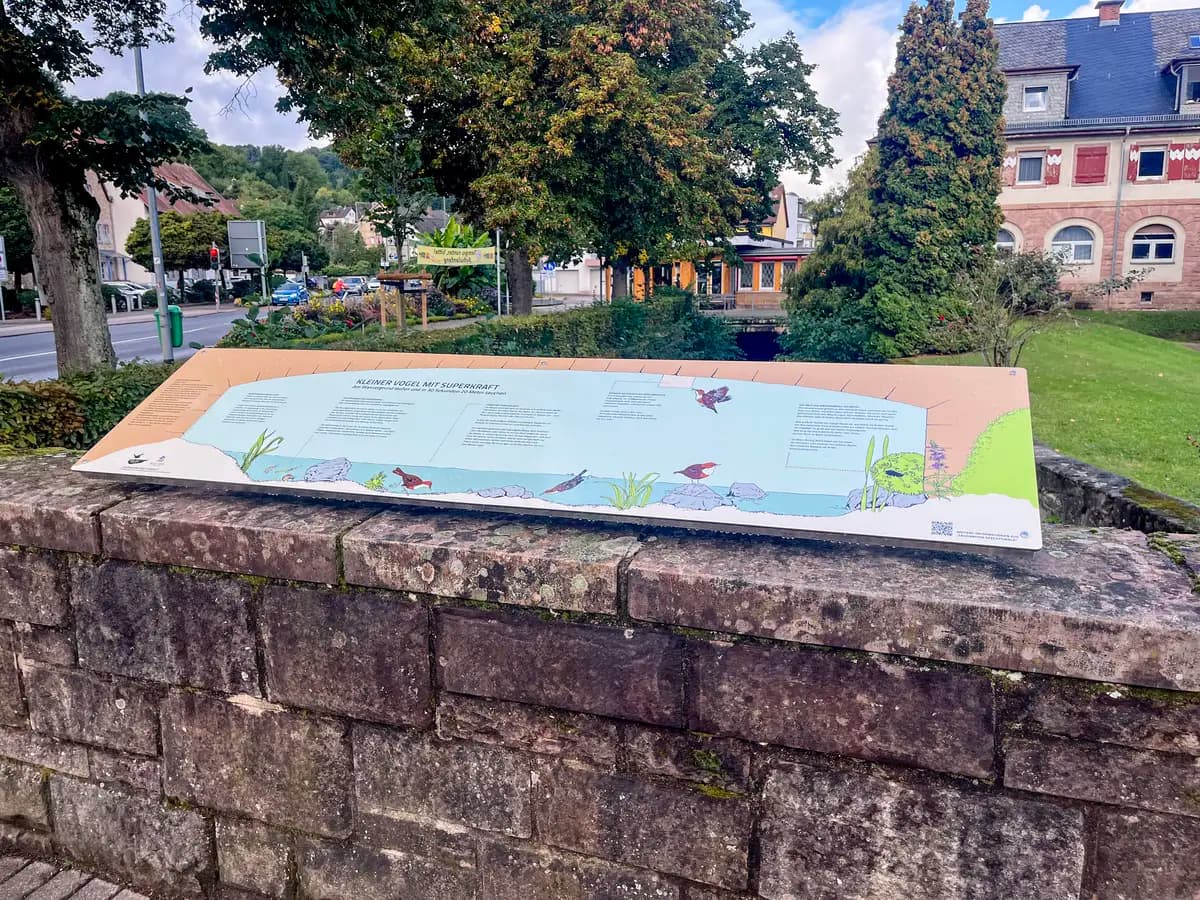 Pultständer auf Mauer – Bad Orb