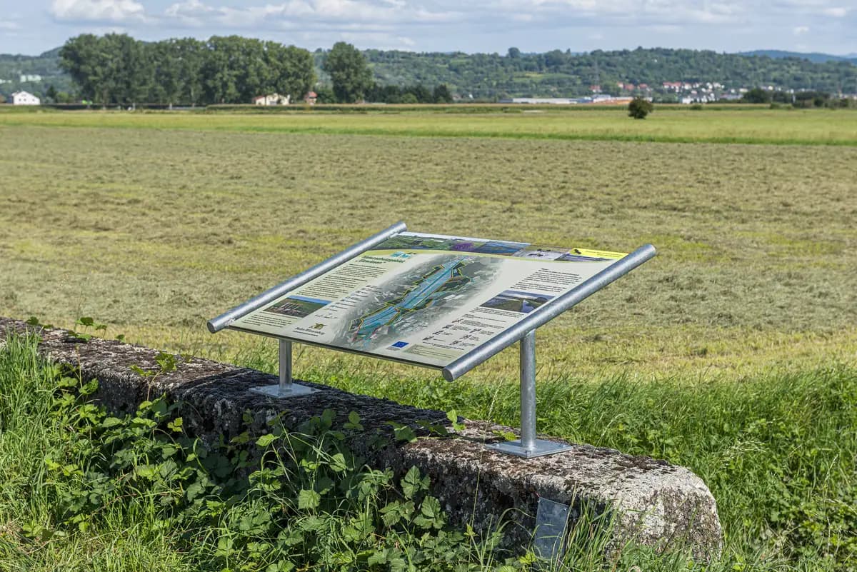 Rollberg Edelstahl – kurze Form auf Mauer, NSG Elzwiesen