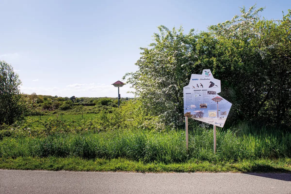 Sonderanfertigung Edelstahl – NSG Rieselfeld Freiburg
