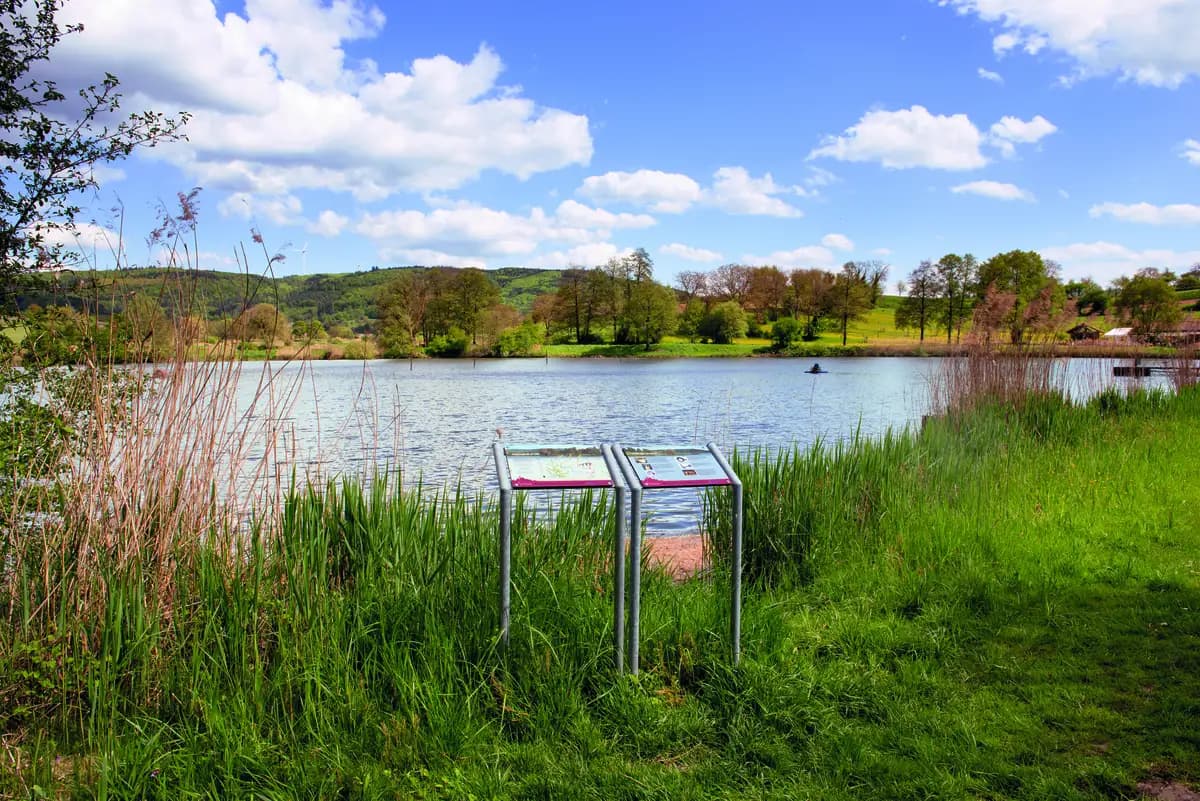 Waldshut runde Form – Naturlehrpfad Ettenheim Filmersbach