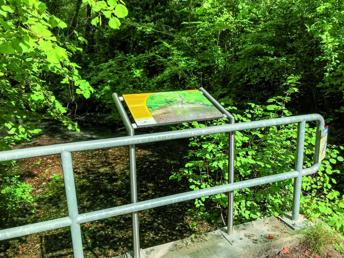 Waldshut Edelstahl – NSG Taubergießen Gießentafel