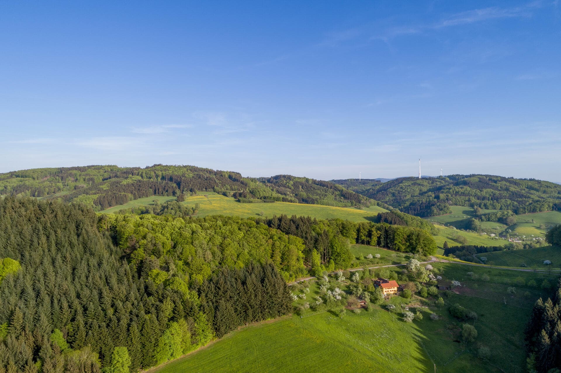 Schönwasen Frühling